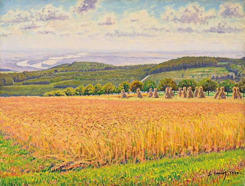 Gustave cariot campi di - campi,