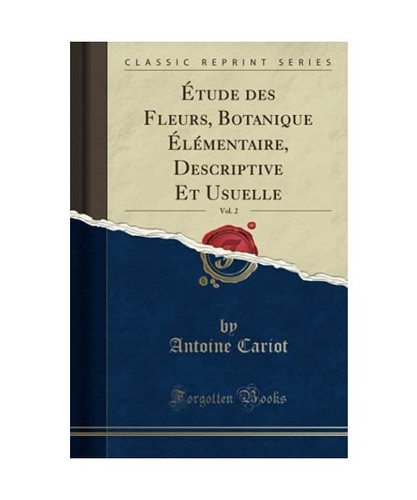 étude des fleurs botanique - fleurs,,